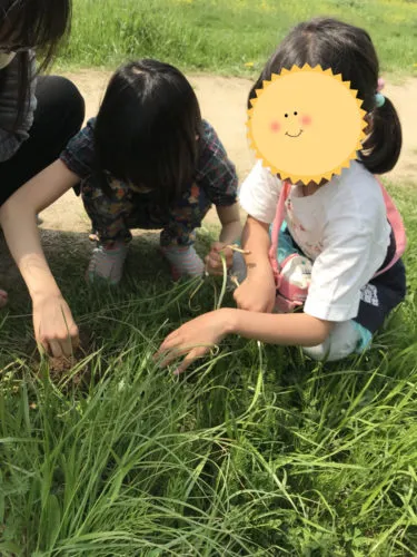 若草、発見🌿