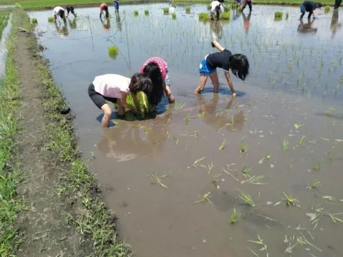 風と水と土と🌱