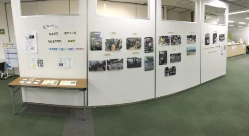 写真、展示しています📸