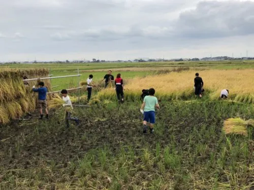 黙々と…🌾