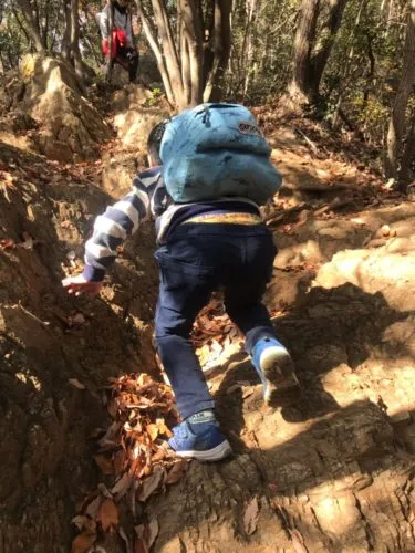 今は日和田山⛰その２