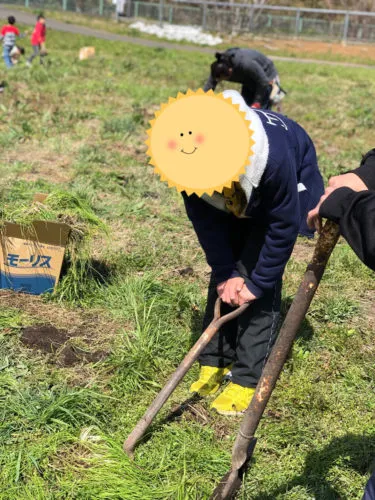 春の若草摘み🌿その１