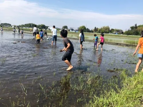 気持ちよかったりなんかしたりして🌱