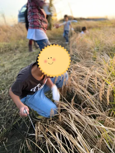 上手く刈れるかな？🌾